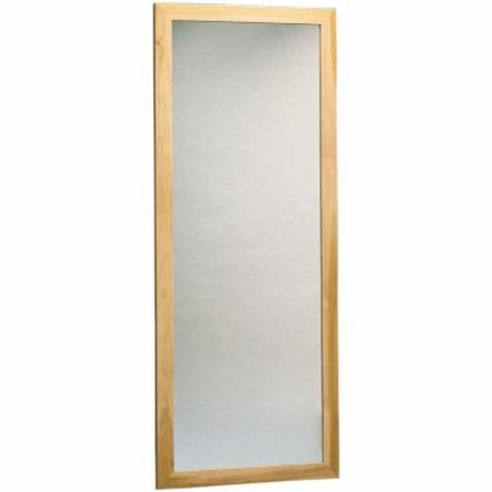 FABRICATION ENTERPRISES Plate Glass Mirror, Wall Mount, Vertical, 22"W x 60"H 19-1110